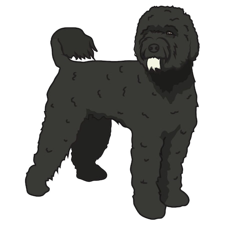 Signmission Portuguese Water Dog Dog Decal, Dog Lover Decor Vinyl Sticker D-12-Portuguese Water Dog